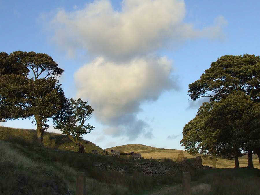 Brinscall to Great Hill